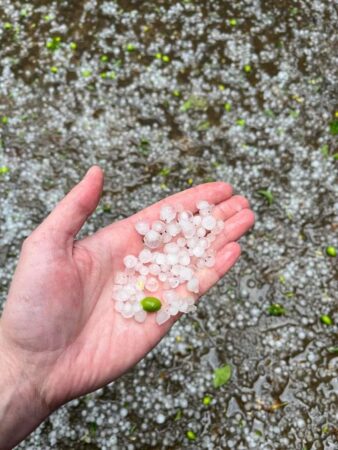 Administrația Națională de Meteorologie a emis  o INFORMARE METEOROLOGICĂ de VÂNT, PLOI și DESCĂRCĂRI ELECTRICE, valabilă pentru tot județul Dâmbovița, până astăzi la  ora 15:00.