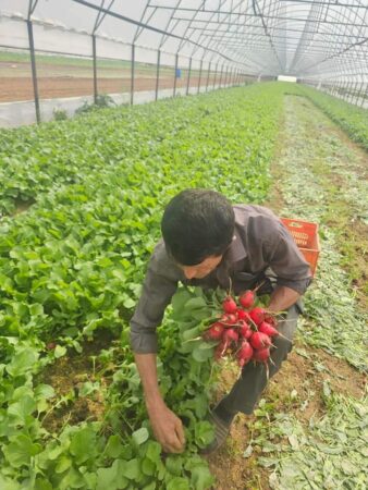 Persoanele fizice pot angaja și plăti legal  personal pentru activități  casnice, prestatorii beneficiază de drepturi pe care le au și angajații.