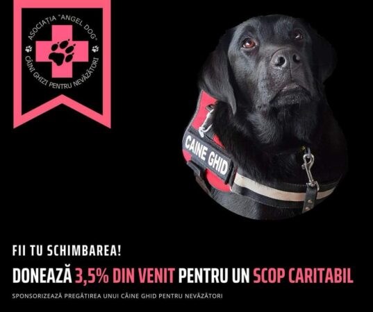 A fost  adoptat ieri,  proiectul de lege care stabileşte că persoanele cu handicap vor avea acces gratuit în mijloacele de transport în comun, magazine, alte spaţii, cu câini ghid.