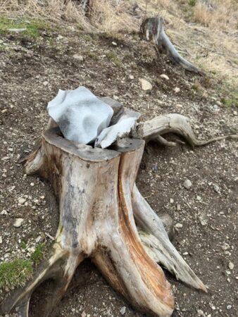 Sarea este esențială pentru fauna sălbatică, așa că silvicultorii Romsilva amplasează în fondurile cinegetice gestionate sărării, așa cum se poate observa în fotografii.