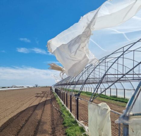 Vântul puternic și-a spus cuvântul, natura s-a dezlănțuit în județul Dâmbovița. Legumicultorii din Băleni au  fost afectați