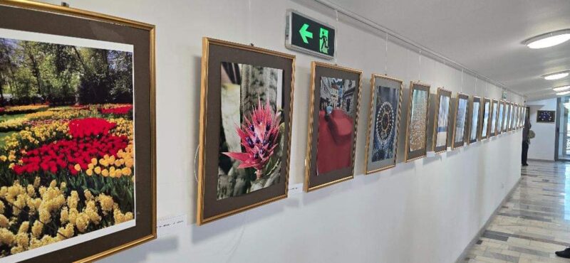 Cinematograful Independența găzduiește expoziția de fotografii intitulată ”Women Eyes/Ochii femeilor” Expoziția este deschisă până pe 20 mai 2024, în foaierul Cinematografului Independența din Târgoviște.