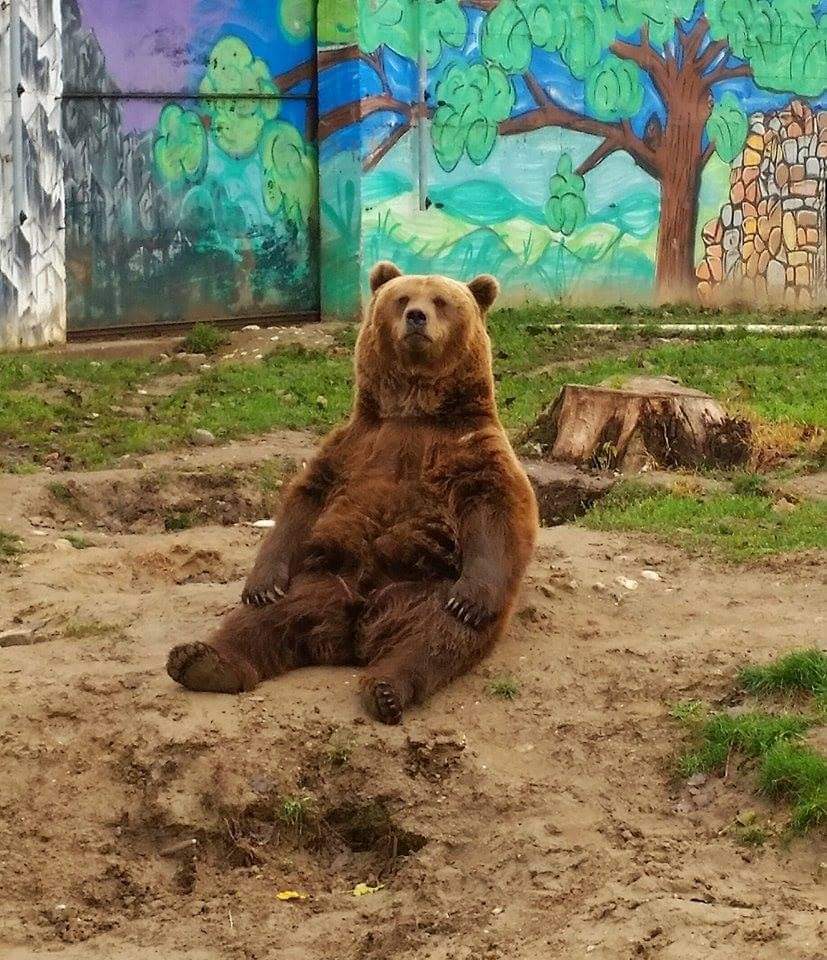 Aveți timp liber și nu știți cum să-l petreceți?