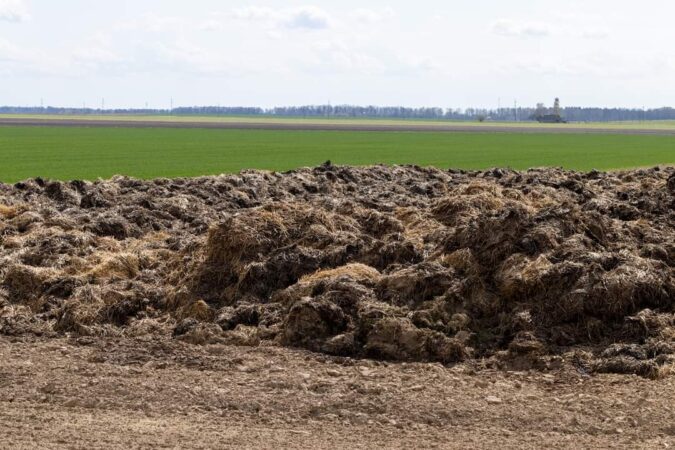 Ghidul de finanțare pentru sprijinirea investițiilor destinate producției de compost pe bază de gunoi de grajd și alte deșeuri agricole compostabile a fost pus  în consultare publică.