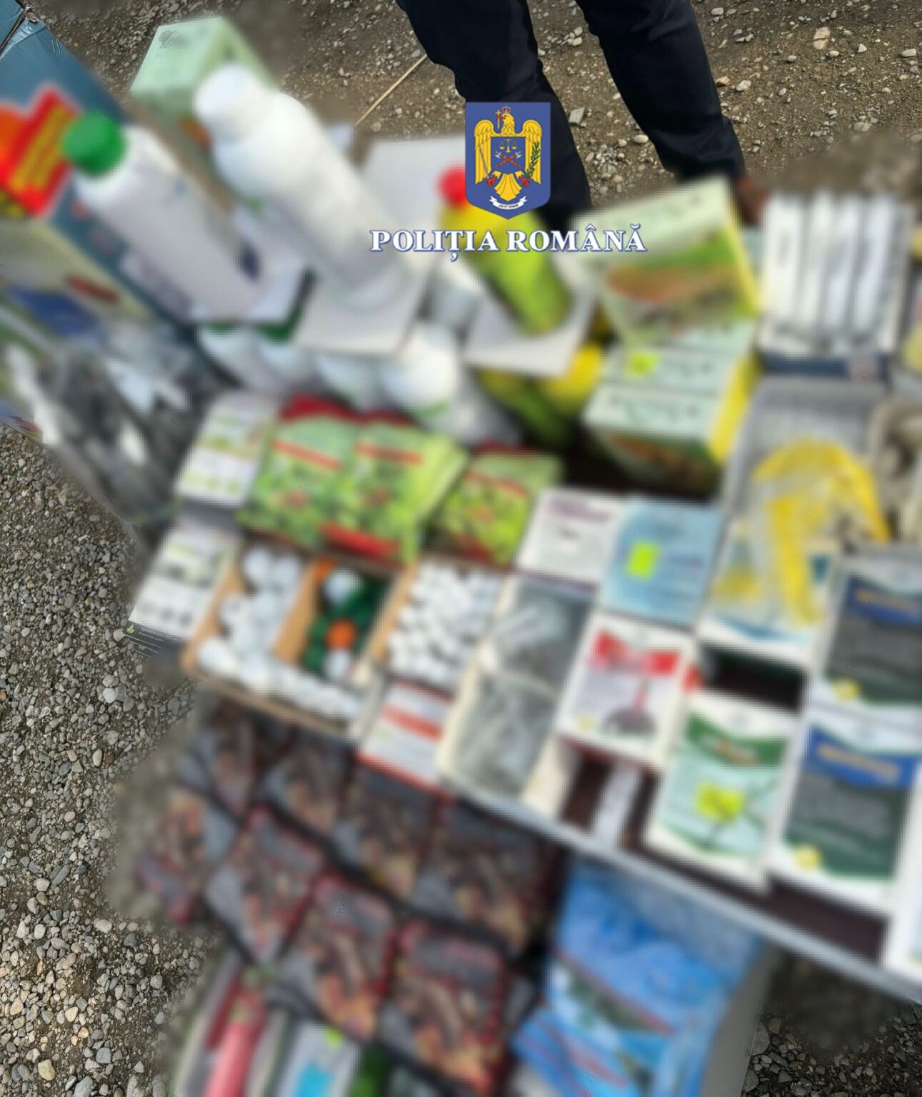 Polițiștii din cadrul Serviciului Arme, Explozivi și Substanțe Periculoase, în colaborare cu specialiști din cadrul Oficiului Fitosanitar Dâmbovița