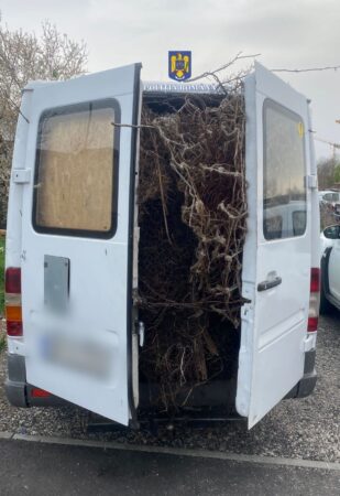 Polițiștii din cadrul Poliției Municipiului Târgoviște – Biroul Ordine Publică au depistat un tânăr de 23 de ani, din Târgoviște