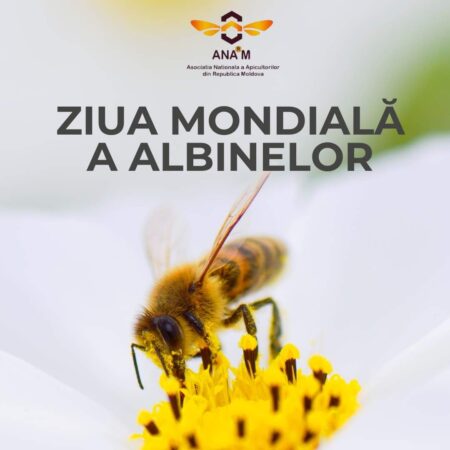 Ziua Mondială a Albinelor Albert Einstein avertiza, acum aproape 100 de ani că „atunci când albinele vor dispărea de pe suprafaţa Pământului, omul va mai avea doar patru ani de trăit”.