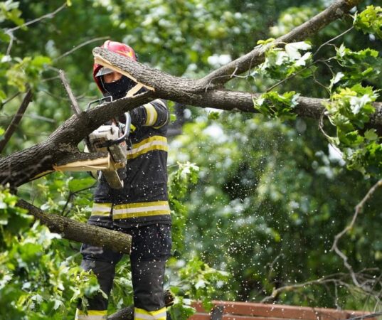 Pe parcursul următoarelor două zile, vor fi perioade cu instabilitate atmosferică ce se va manifesta prin averse, descărcări electrice, vânt puternic și grindină.