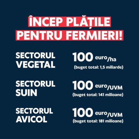 Fermierii vor primi 100 euro/hectar, respectiv 100 euro pentru UVM la porc și pasăre. 