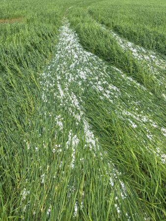 Vremea se mai  încălzește dar șansele de ploi și furtuni sunt foarte mari.