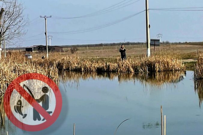 Jandarmii dâmbovițeni au desfășurat în ultimele două săptămâni acțiuni de prevenire și combatere a faptelor de pescuit ilegal în lacuri din localitățile Răzvad, Cazaci, Perșinari și Mircea Vodă. 