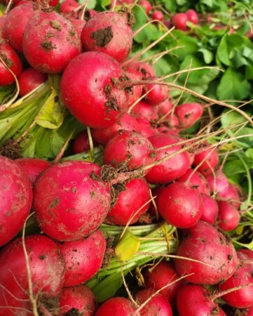 Micii fermieri români vor fi taxați de la 1 iulie pentru transportul propriilor produse la piață, dacă un proiect de act normativ