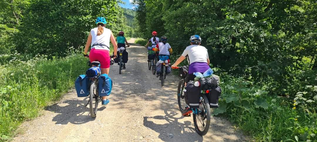 Ziua Internațională a Plimbărilor este o sărbătoare foarte populară în mai multe țări ale lumii. Se concentrează
