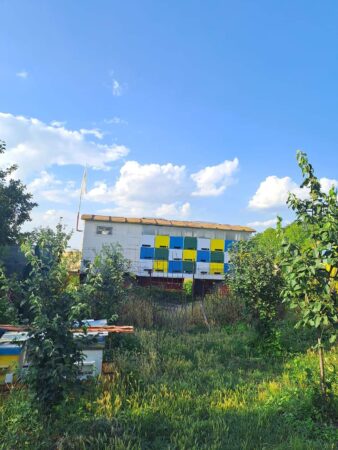 APIA primește cereri de plată pentru intervenţiile aferente sectorului apicol 2024 Agenţia de Plăţi şi Intervenţie pentru Agricultură (APIA) informează potențialii beneficiari că până la data de 31 iulie 2024 inclusiv, pot depune