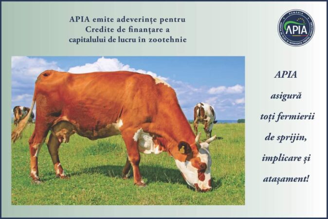 APIA eliberează adeverințe fermierilor crescători de animale care doresc să acceseze credite bancare APIA informează că începând de ieri, 24 iulie 2024, eliberează adeverințe pentru beneficiarii intervențiilor în sectorul zootehnic, gestionate de APIA, respectiv pentru: