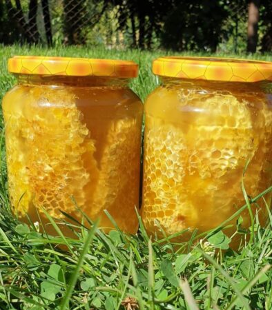 Apicultorii dâmbovițeni sunt așteptați la APIA să depună cereri de plată pentru intervenţiile aferente sectorului apicol 2024 Agenţia de Plăţi şi Intervenţie pentru Agricultură (APIA) reamintește că până la data de 31 iulie 2024 inclusiv, se pot depune cereri