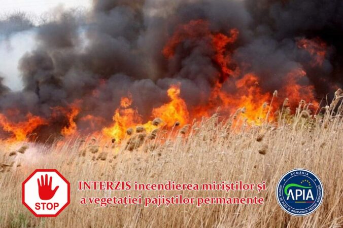 Fermierii au obligația respectării GAEC 3 și GAEC 10: Interdicția de a incendia miriștile și vegetaţia pajiştilor permanente Agenţia de Plăţi şi Intervenţie pentru Agricultură (APIA) informează că începând cu anul de cerere 2024 pe lângă standardul GAEC 3