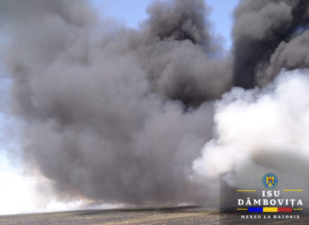 Ro-Alert și intervenție de urgență în localitatea Bălteni Pompierii dâmbovițeni au fost solicitați ieri să intervină în cazul unui incendiu de vegetație uscată și gunoi menajer în localitatea Bălteni.