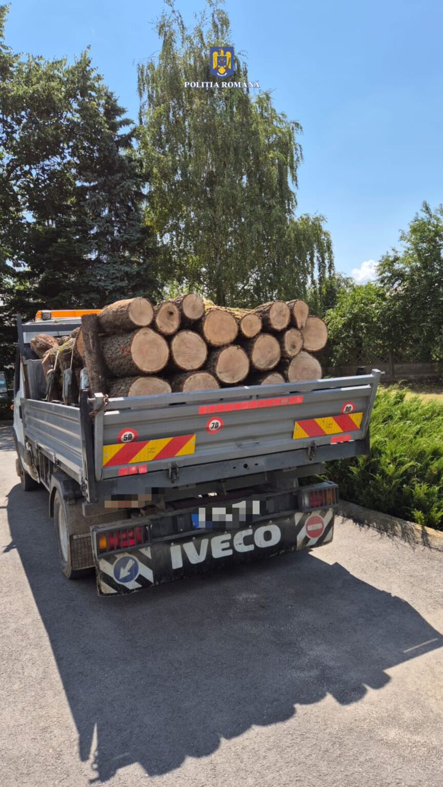 Polițiștii din județul Dâmbovița au reușit să depisteze și să sancționeze doi bărbați implicați în furtul de lemne. Incidentul a avut loc pe drumul național 72