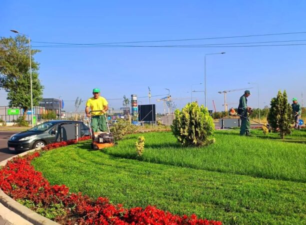 Primăria Târgoviște dupa cum se vede are un amplu program de întreținere și curățare a spațiilor verzi din oraș, având ca obiectiv îmbunătățirea permanentă a aspectului estetic al urbei. 