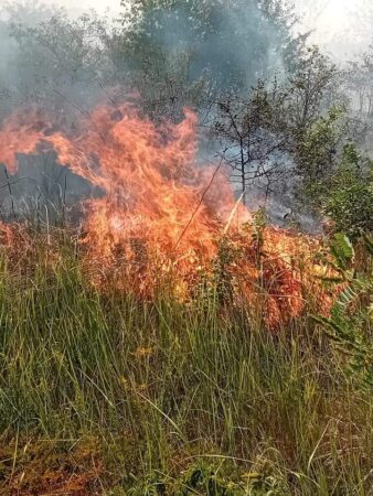 IADUL pe câmpurile din județul Dâmbovița În ultimele 24 de ore echipajele pompierilor dâmbovițeni au intervenit pentru stingerea a 11 incendii de vegetație, care au afectat aproximativ 10 hectare de teren.