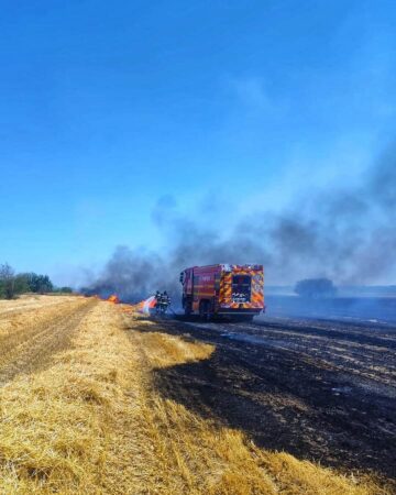 Iadul pe câmpurile din Colacu Un incendiu de vegetație uscată s-a produs în orașul Răcari, sat Colacu.