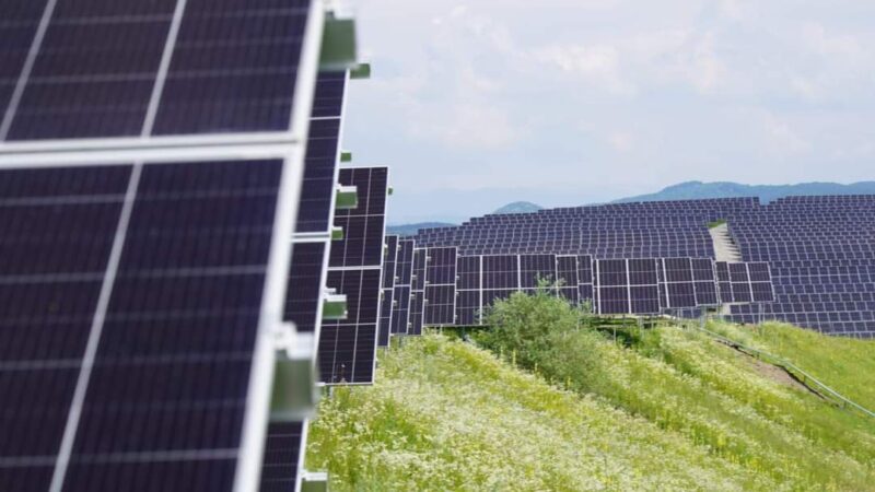 Camera Deputaților a aprobat o lege care obligă prosumatorii să-și instaleze baterii de stocare a energiei, însă amendamentul a fost introdus brusc și nu a fost dezbătut cu părțile implicate.