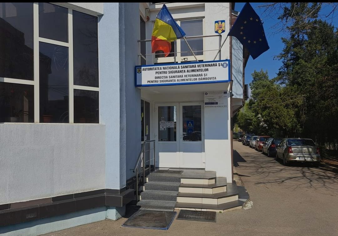 În contextul epidemiologic nou impus de confirmarea Pestei Micilor Rumegătoare (PMR) în Romania, s-a întrunit Centrul Local pentru Combaterea Bolilor Dâmbovița