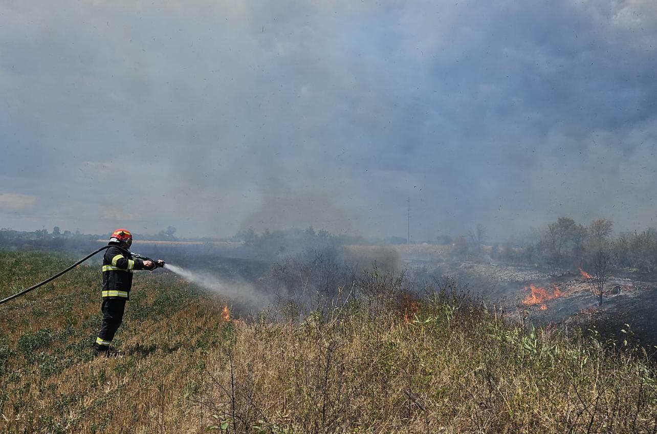 Pompierii dâmbovițeni au fost solicitați să intervină ieri, în jurul orei 12:05 , în cazul unui incendiu de vegetație uscată în satul Voia, comuna dâmbovițeană Crângurile.