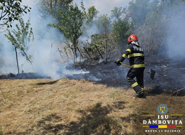 PERICOL IMENS: INCENDIILE de VEGETAȚIE fac prăpăd în tot județul Dâmbovița În ultimele două zile, pompierii au intervenit în mai multe localități din județul Dâmbovița pentru stingerea unor incendii de vegetație uscată.