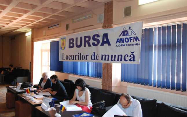 Majoritatea persoanelor angajate au peste 45 de ani și provin din mediul rural. Cele mai multe au studii medii și beneficiază