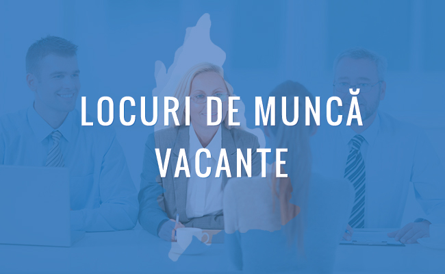 În județul Dâmbovița, Agenția Județeană pentru Ocuparea Forței de Muncă (AJOFM) a anunțat că sunt disponibile 372 de locuri de muncă vacante
