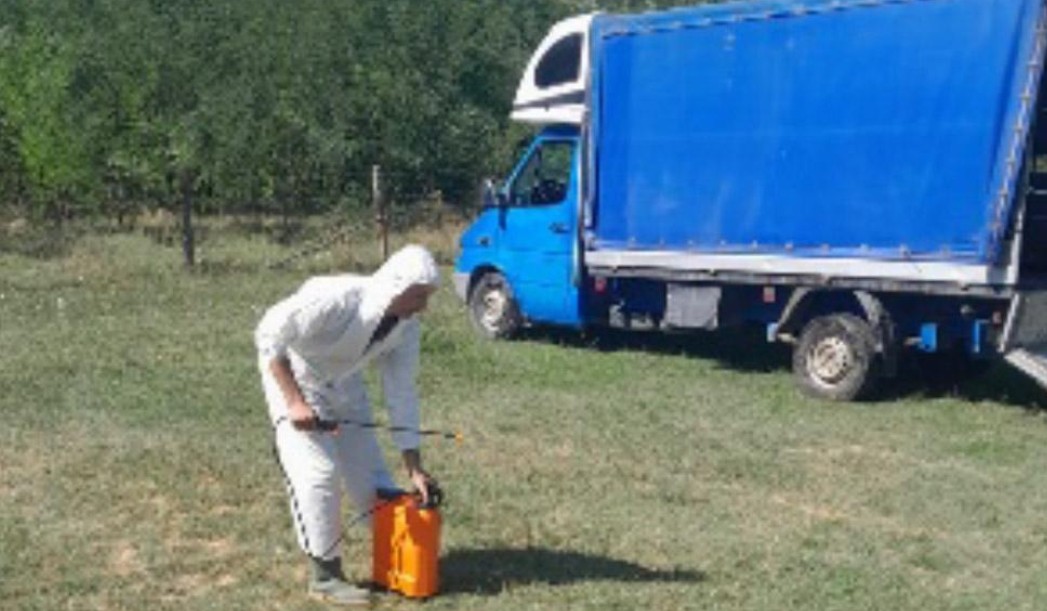 Ministrul Agriculturii și președintele ANSVSA s-au întâlnit la sediul MADR cu reprezentanții federațiilor și asociațiilor de creștere a ovinelor