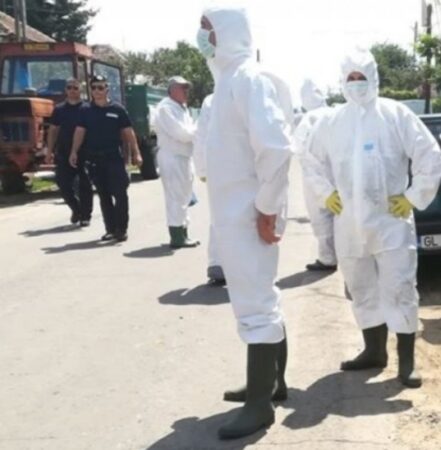 ALERTĂ! A fost confirmat virusul Pestei Porcine Africane într-o exploatație nonprofesională din comuna Nucet Laboratorul Sanitar Veterinar și pentru Siguranța Alimentelor Dâmbovița a confirmat, în data de 05.08.2024, prezența virusului Pestei Porcine