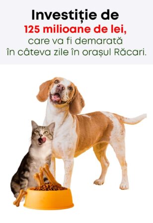 Primăria Răcari a emis autorizația de construire pentru cea mai mare și modernă fabrică de hrană pentru câini și pisici din România.