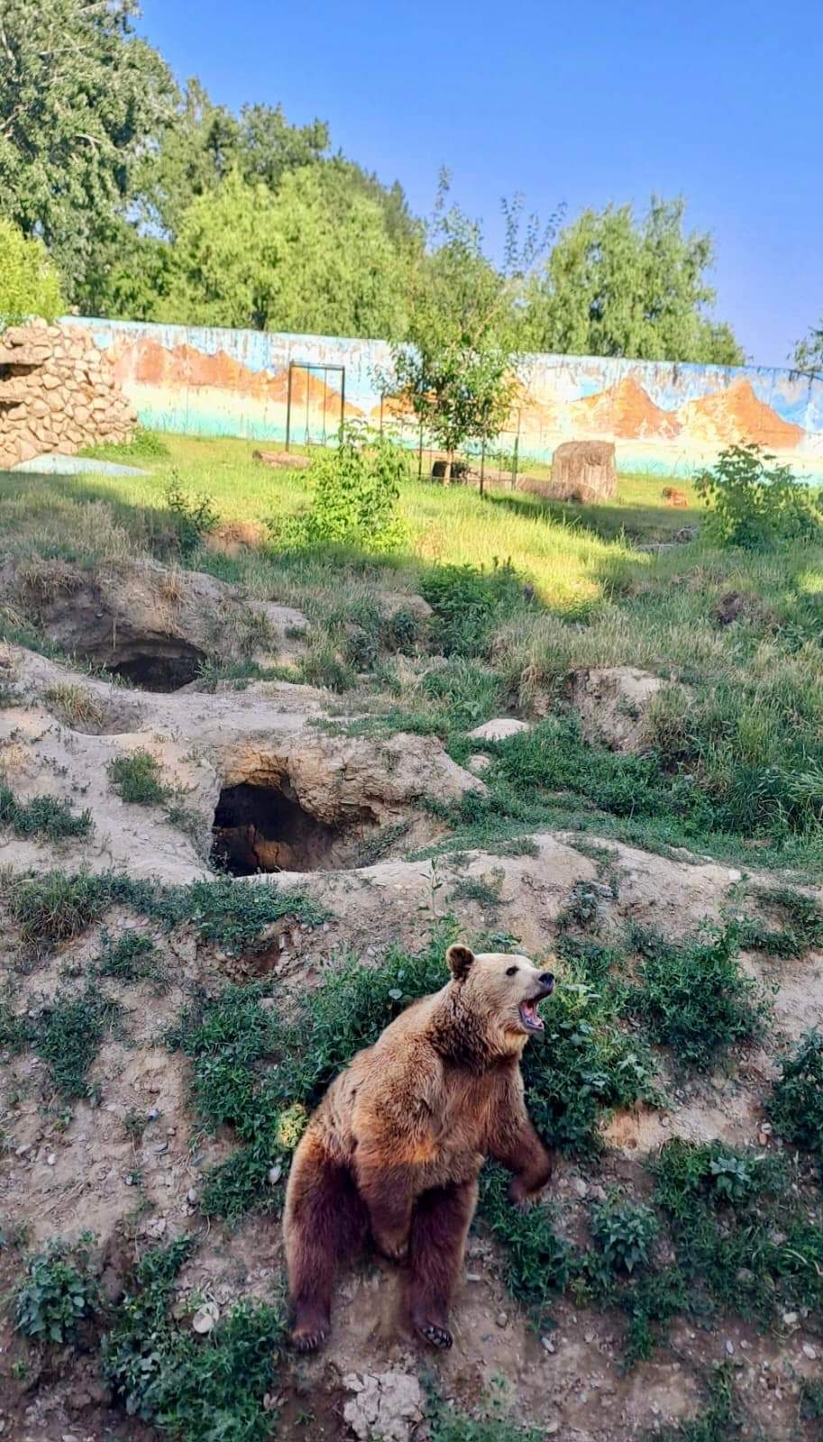 Municipiul Târgoviște se poate mândri cu o Grădină Zoo foarte frumoasă. Nu ratați o vizită la Zoo.