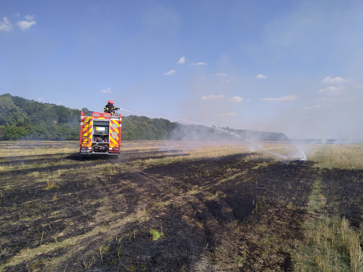 Garda de Intervenție Răcari a răspuns prompt unui apel pentru un incendiu de vegetație uscată la Bâldana. Echipa a acționat