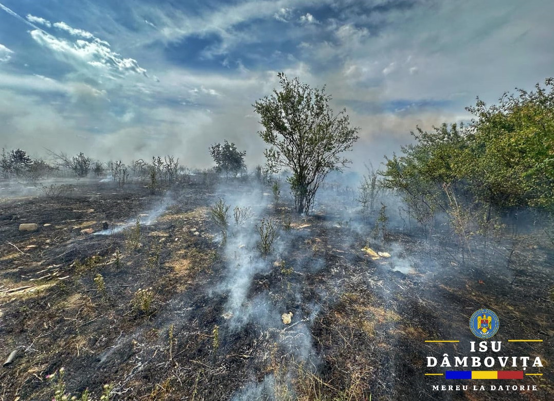 Ieri, în jurul orei 14:40, pompierii au fost solicitați să intervină în cazul unui incendiu de vegetație uscată în municipiul Târgoviște, în zona Romlux.