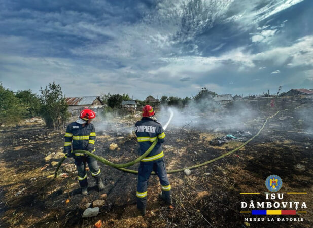 Alertă de gradul zero în zona Romlux din municipiul Târgoviște Ieri, în jurul orei 14:40, pompierii au fost solicitați să intervină în cazul unui incendiu de vegetație uscată în municipiul Târgoviște, în zona Romlux.