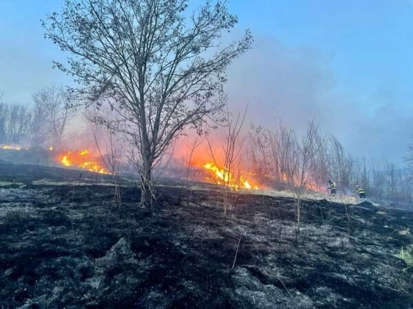 Bărbat ars într-un incendiu de vegetație în comuna Aninoasa Detașamentul de Pompieri Târgoviște a fost solicitat să intervină în cazul un incendiu de vegetație uscată în comuna Aninoasa, sat Viforâta.