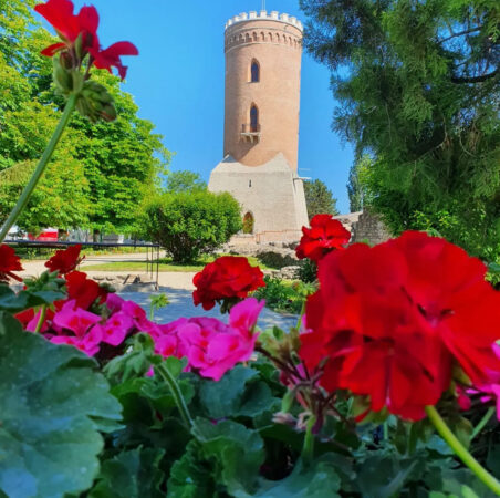 Consiliul Județean Dâmbovița, prin Complexul Național Muzeal „Curtea Domnească” Târgoviște, a anunțat un program special de vizitare