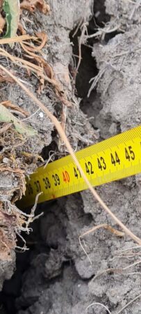 Agricultorii dâmbovițeni spun că la cum arată solul, nici nu pot face pregătirile pentru culturile de toamnă. 