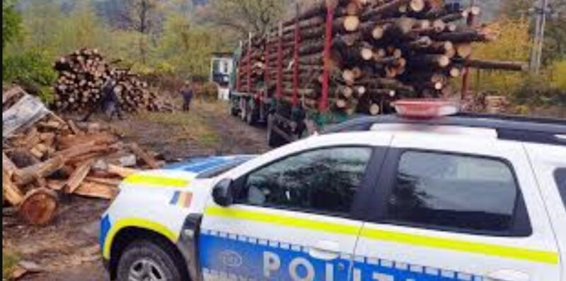 Polițiștii din Dâmbovița au desfășurat o acțiune amplă de prevenire și combatere a ilegalităților în domeniul silvic. Ei au acționat în cooperare