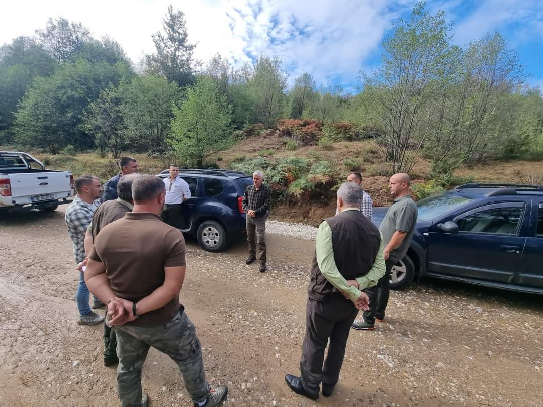 Ocolul Silvic Sturzeni din cadrul Direcției Silvice Dâmbovița a finalizat lucrările de reabilitare a drumului forestier Valea Glodului, în lungime de 8,33 km.