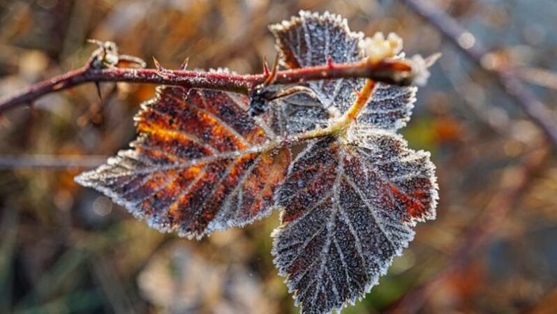 Vremea se răcește accentuat în următoarele zile, conform prognozei emise de Administrația Națională de Meteorologie (ANM).