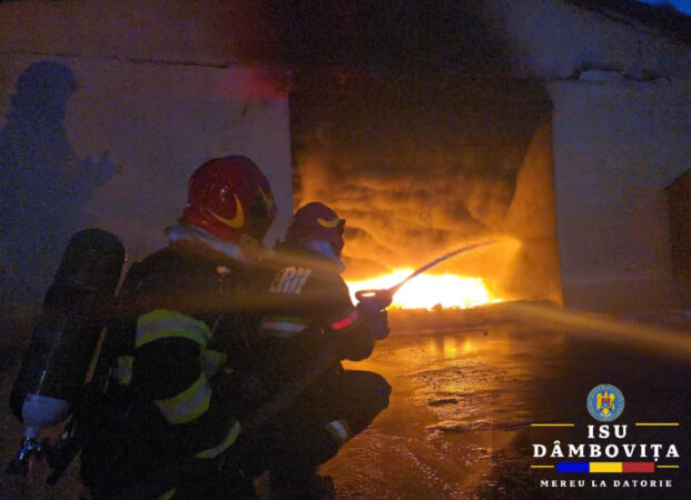 Un incendiu major a izbucnit miercuri dimineață la o hală situată în localitatea Butimanu, iar pompierii din Dâmbovița și București-Ilfov