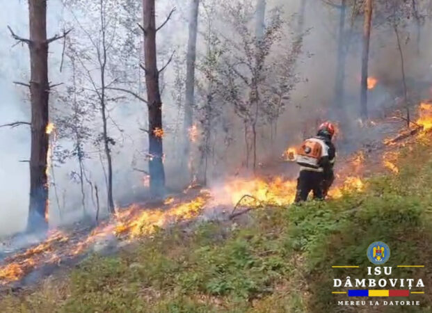Flăcări devastatoare în comuna dâmbovițeană Ludești: Incendiu de pădure la mică distanță de casele oamenilor Flăcări devastatoare în comuna dâmbovițeană Ludești: Incendiu de pădure la mică distanță de casele oamenilor
