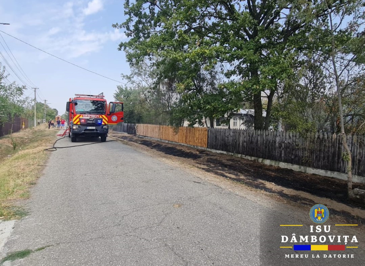 Flăcări devastatoare în comuna dâmbovițeană Ludești: Incendiu de pădure la mică distanță de casele oamenilor