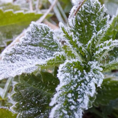 Vremea  schimbă foaia începând de astăzi, 10 septembrie .Mai exact, meteorologii anunță că temperaturile vor coborî și cu 15 grade Celsius