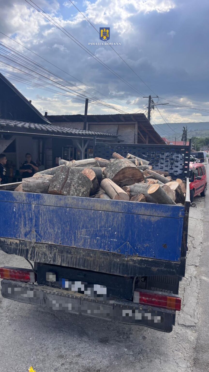 Polițiștii sunt pe urmele hoților de lemne, se verifică drastic orice mașină cu material lemnos 